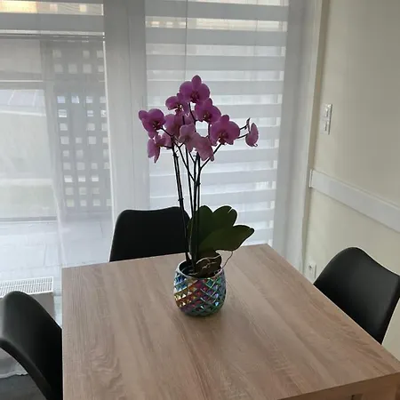 Apartament „dwie Wieze”